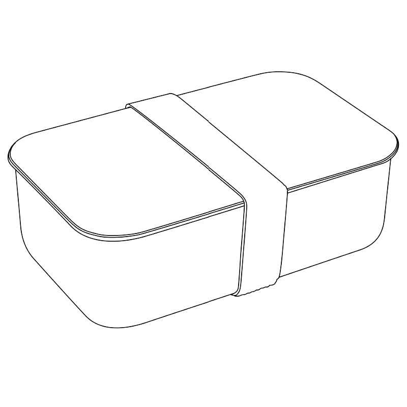 Plastic lunch box